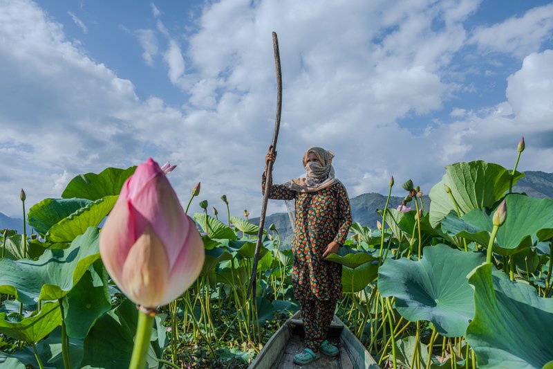 466a52f1-9eb9-4ee5-a80b-f0df1fda6c4c