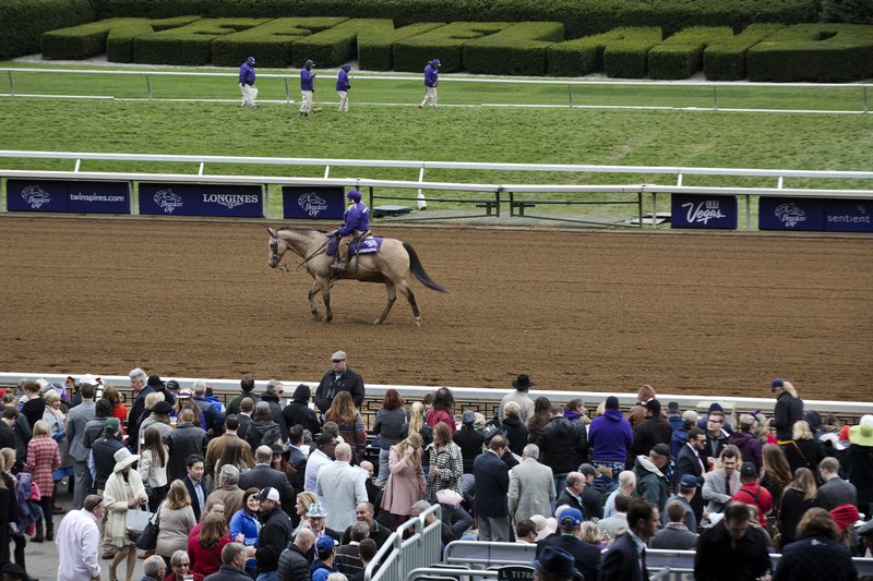 50246473-0040-40f1-ba86-6ef16db36875