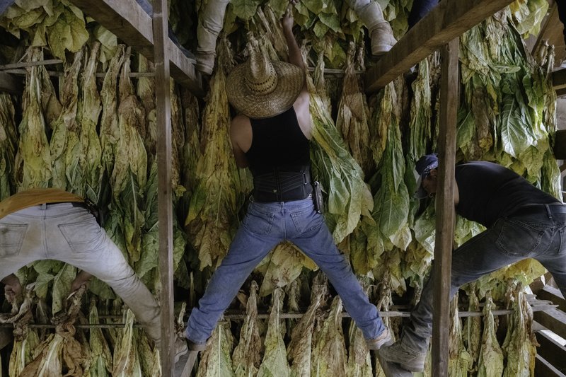 521e33ce-57e8-4171-a431-32647fa01961