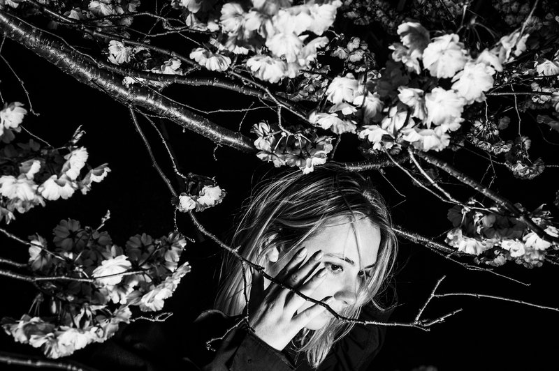 c2e945c8-6e02-4be6-9f8c-d4b6c41da31e