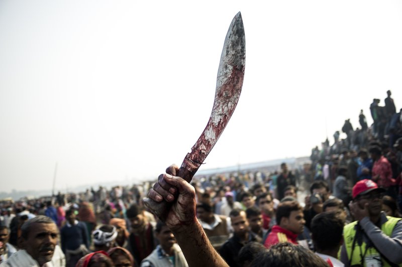 5e5253cd-8345-4cf0-bc40-8436356bcfdb