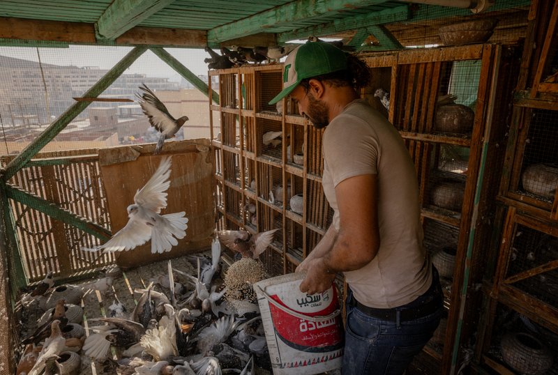 656a0240-4531-4091-b3fc-ced7236d8c1a