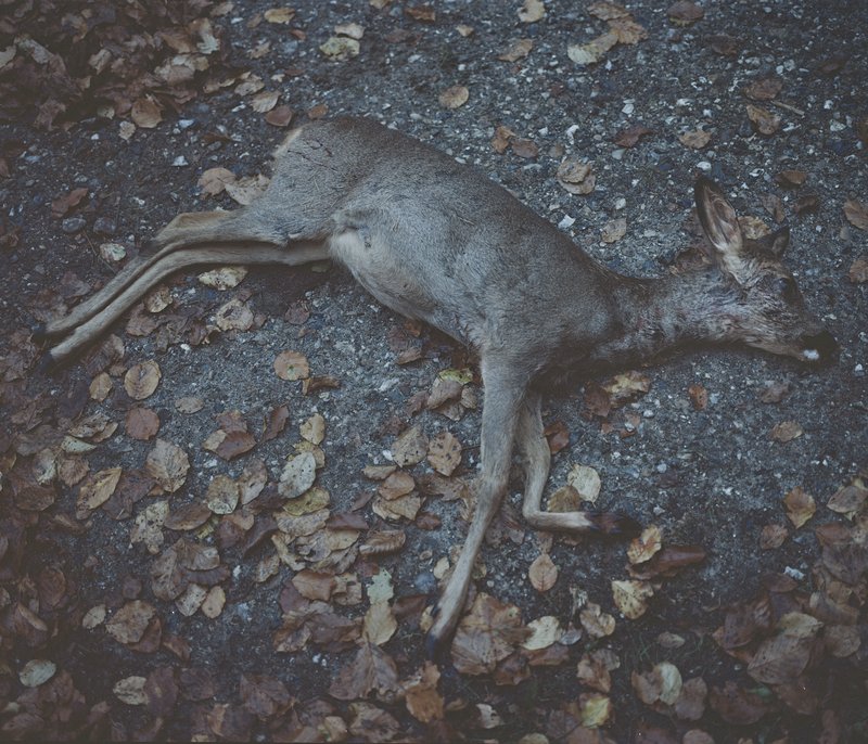 aacb5161-72e6-47f3-9ba8-e355930716b7