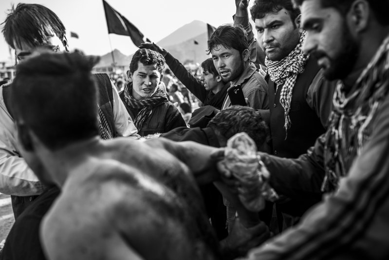 d7829528-55ad-4483-a53d-49066cae53f8