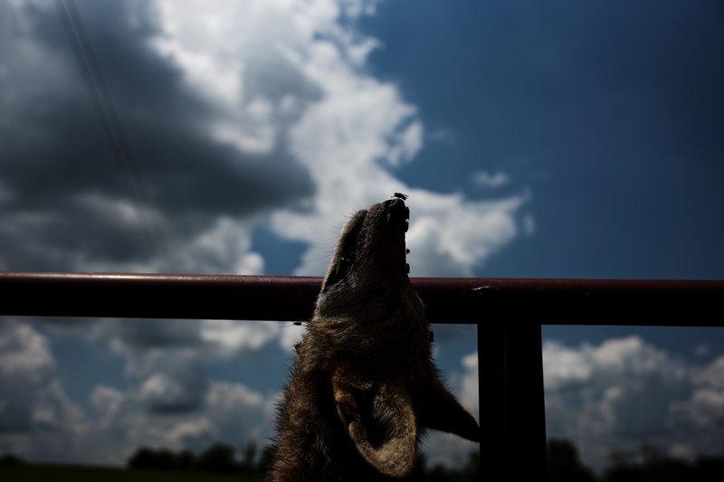 36930e72-f138-44e1-8345-3d9e439aba07