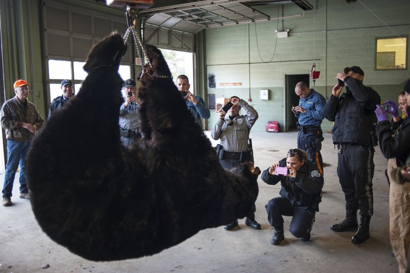 d00780f1-237e-44e1-85fd-6f36f720f459