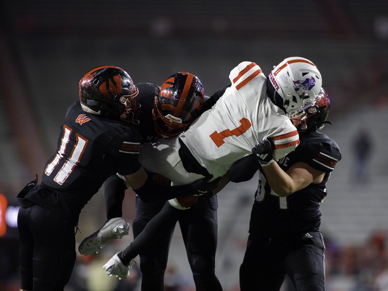 67cfc577-0c31-417e-8561-5372707e1142