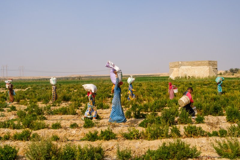 160b26b0-974a-48e1-b726-1a403c26acb6