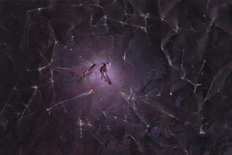 0722c286-a7a6-4e25-be24-81e0fb0d7166