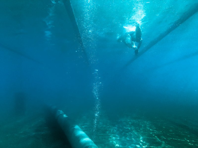 ac2dede0-d915-4321-a5c8-ce361f7f0dfa