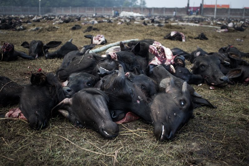 72c1051c-beb3-4c3b-9085-cdd46b3aa789