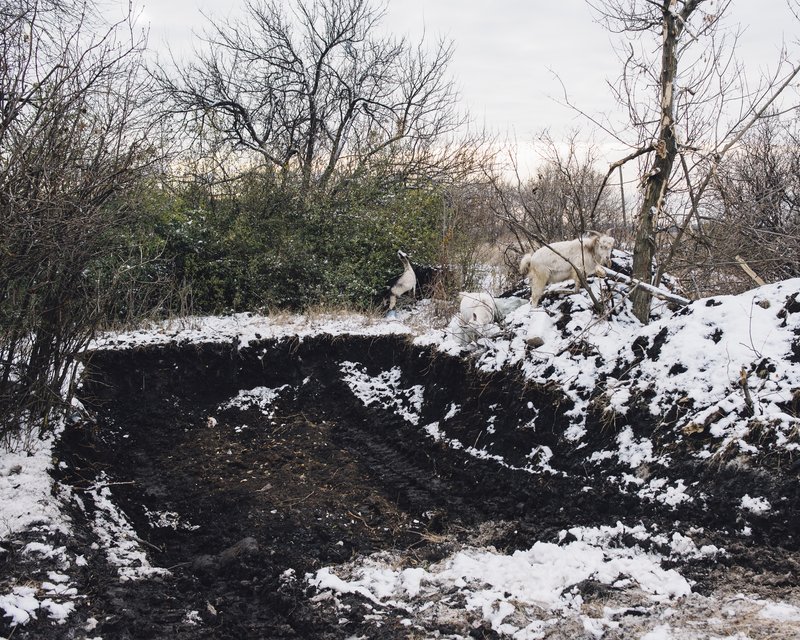 1c6c3b14-6fb5-4e00-87cf-e9488693ce0b