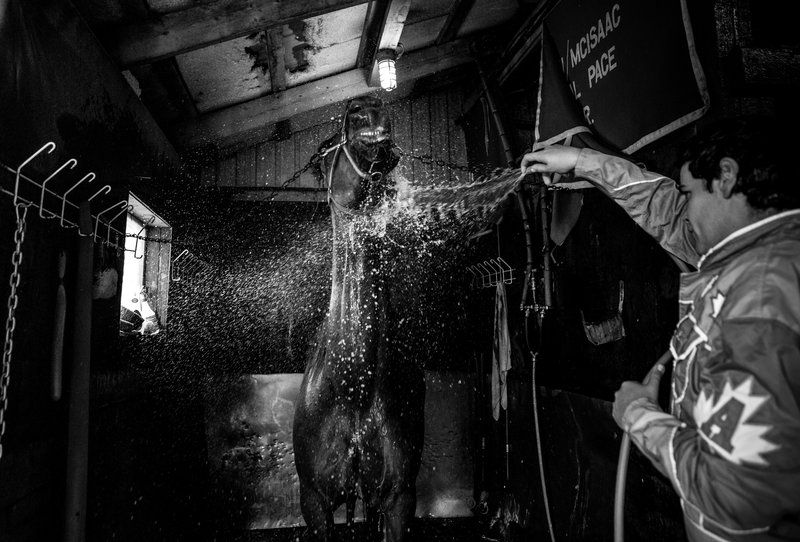 a075f315-2456-492e-901e-75060139419c