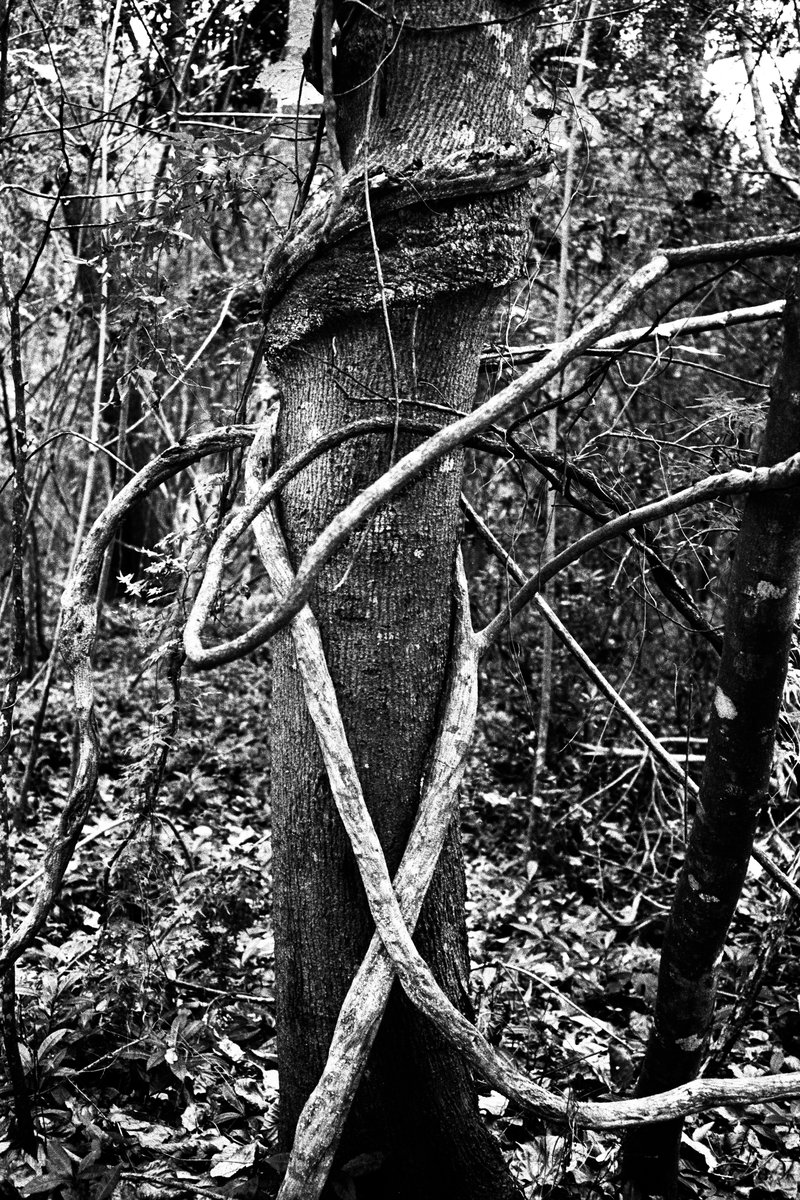 632343b4-2069-445a-8aca-4c12dd54d9b5