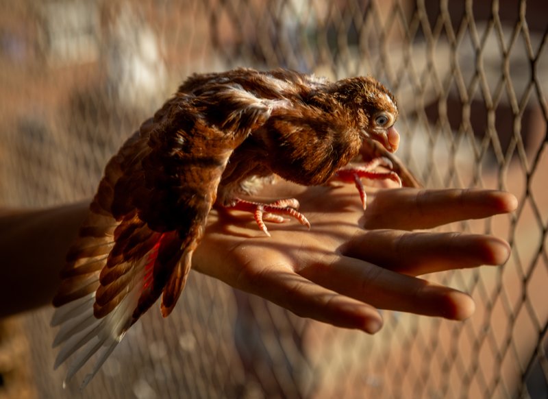 8070f8ad-b0a6-4a9b-a537-8ef0abc0892c