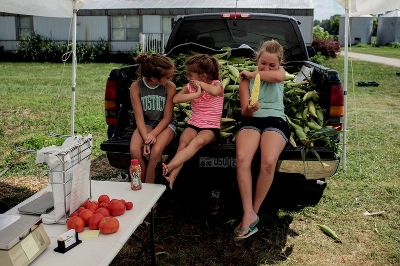 7cf436ef-1369-42c3-8ec4-2f490c931958