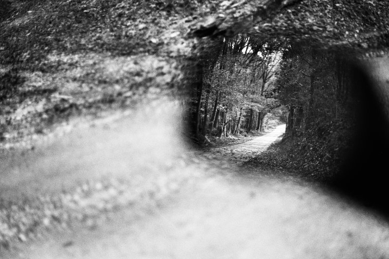 065cc75f-6194-48dc-981e-58365da14a04