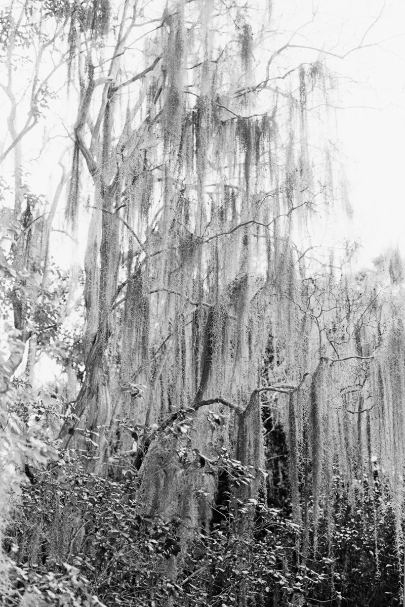 1e5a0757-6b1a-42d2-a91e-1c160c71c562