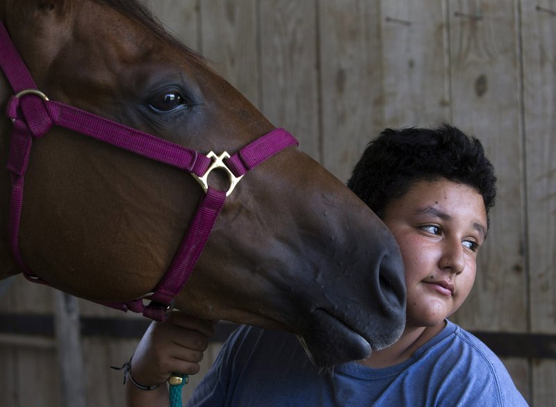 b23ce584-f21b-40a5-94db-9f666dfd558c