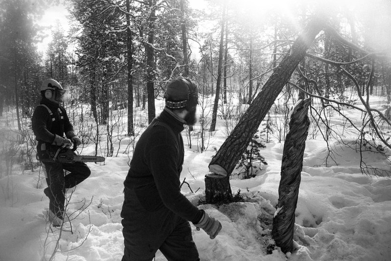 da3cfac6-acf8-480f-ba5a-f18cd0bf28e6