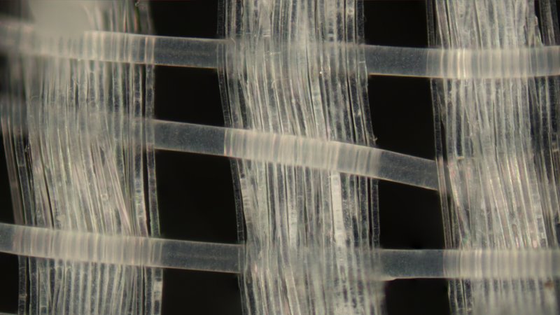 9adc1da3-3a19-4e91-8f69-301a8c2329ed