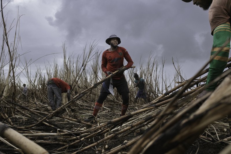 0f90c918-a4a9-4896-b889-a7477f8b6bb5