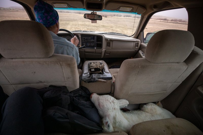 9b7d7137-36af-436f-a1c5-fafe5f57a1f5