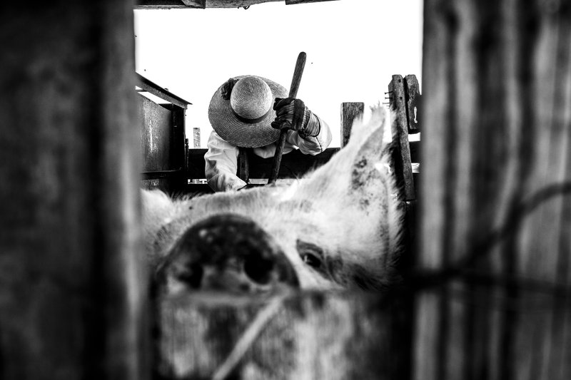 efb2021e-33cf-4948-adc7-700261a158c1