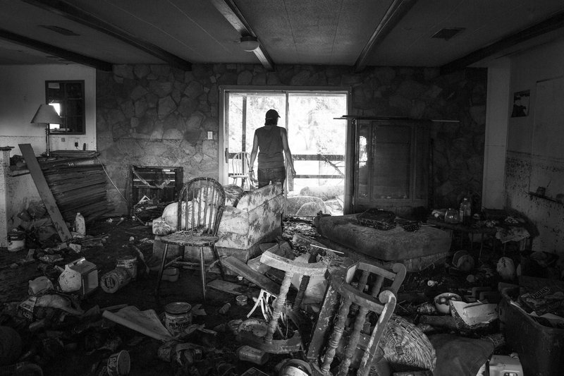 258a2ed4-1169-402e-870a-e5b1b825ae97