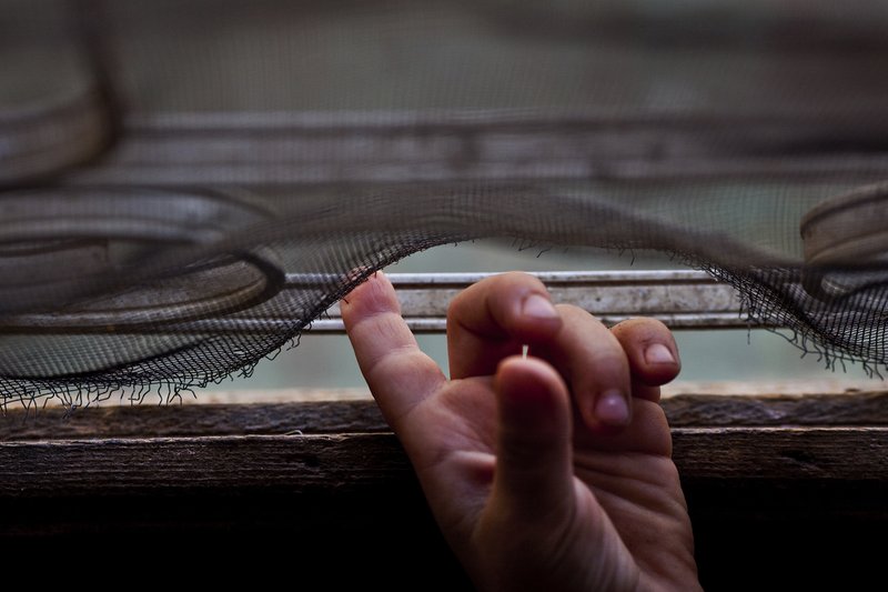 1eed2a72-04fa-4540-b1fa-7d08054a5854