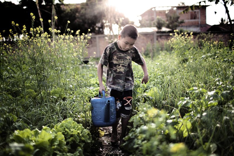 c8a8bafd-51cd-4b0b-89fa-7a741e9a5a5c