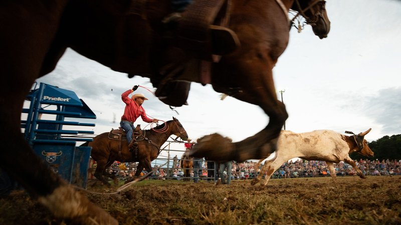 25f0414a-2b01-4d5c-a653-71990d2792bf