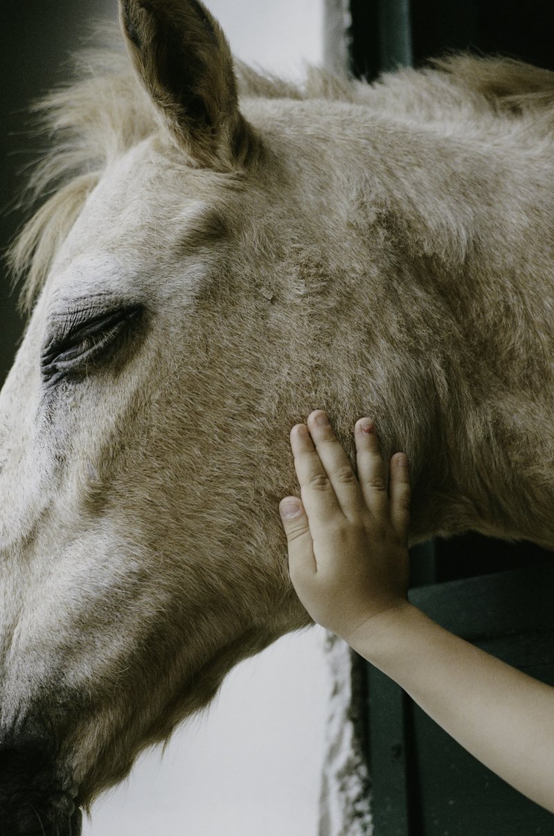 d2e7b02e-200b-4583-a563-fc9257dec7d0