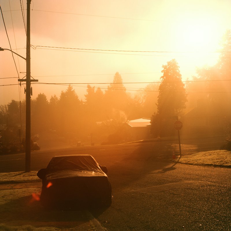 44119084-fdda-4786-8ec9-996da6246d4e