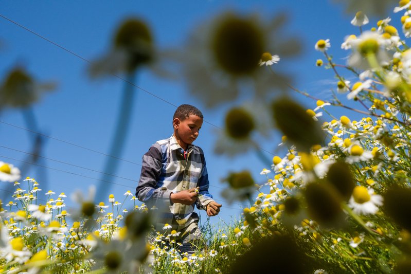 4e3e9a2d-2de3-474e-8da6-d51aac91d8a3