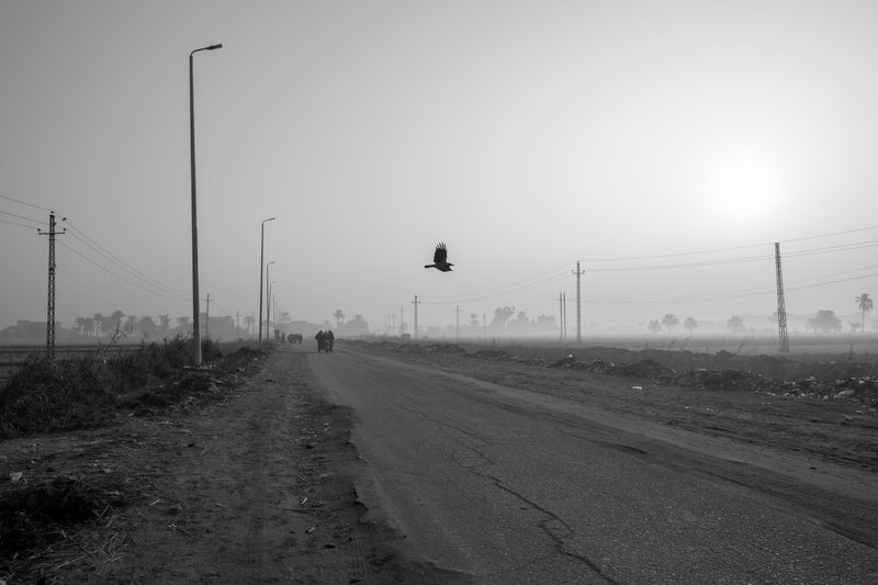 1ce2a297-44c1-4ef8-aa48-67002a0689ac