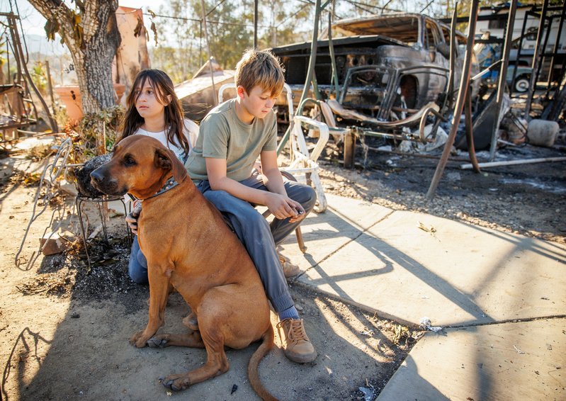 dc88fa3c-b7ca-4166-a4ec-b8f5a019cba7