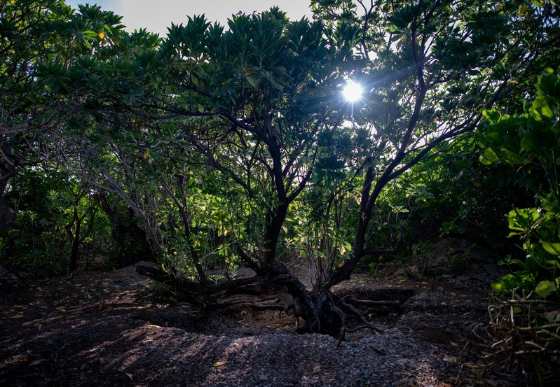 4834f997-cd5f-400e-ae2a-1890d070653c