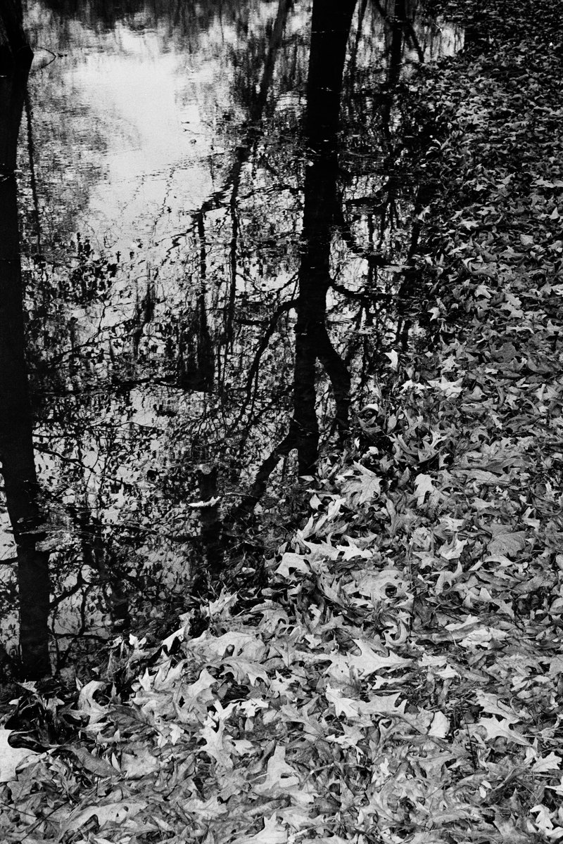 7ca4df1c-7cd8-491e-a130-d86d9e536ae0