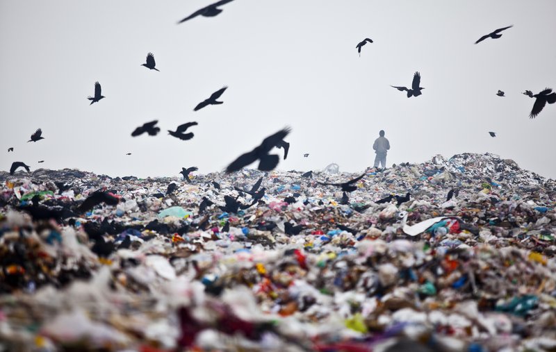 d3903cd6-2126-4931-a478-310cf1659e0b