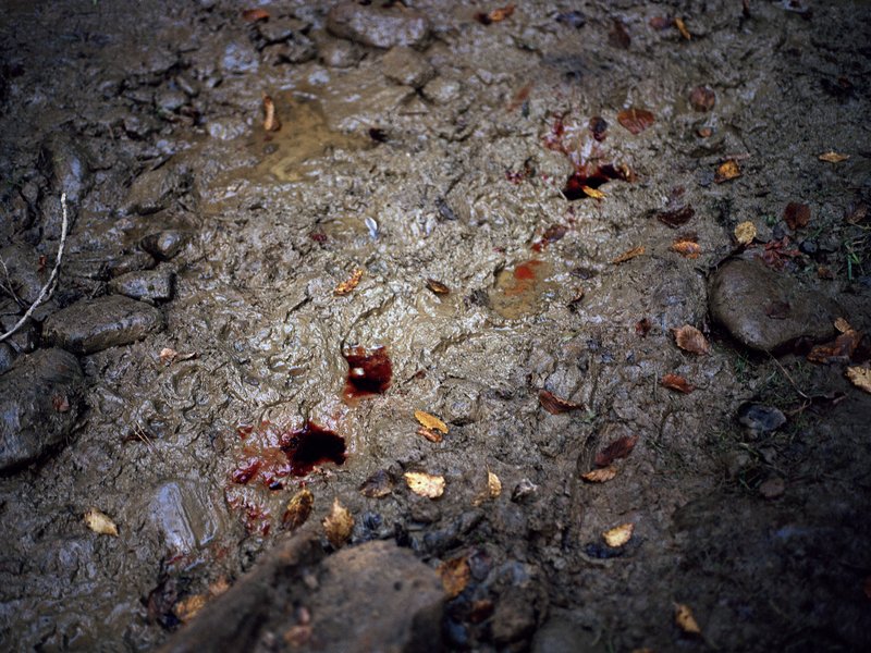 32ab3146-50aa-404f-8d01-a575f5c73e05