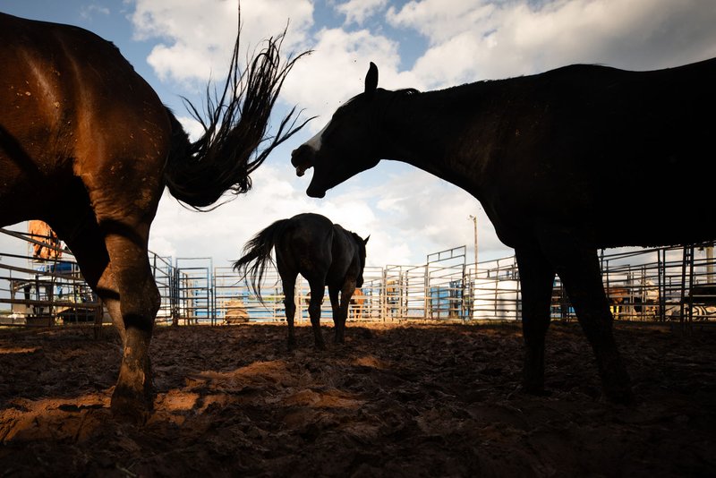 a134aa70-15f4-45fe-ab8a-833bdaff2fe2