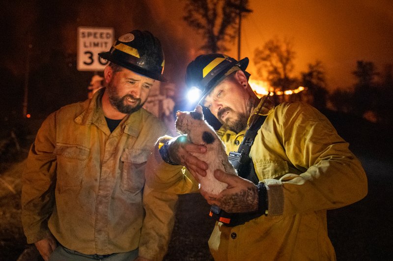 3f3a359b-0ad7-4b5b-b811-058f92a942fc