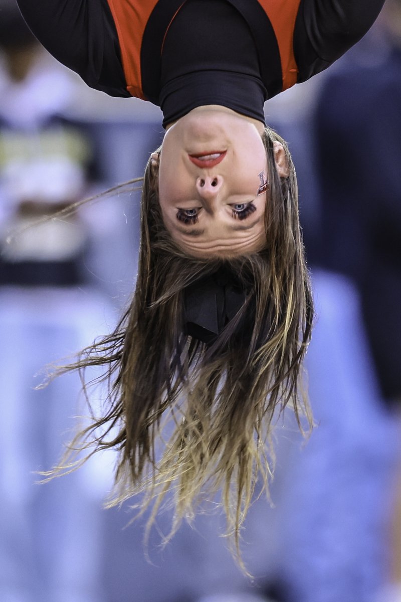 fe102768-1094-4116-8799-3a1514147757